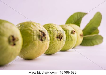 Guava fruit or Amrood or Amrud or peru isolated, selective focus