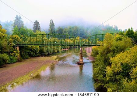 Pine forest and deciduous trees changing colors with a cloudy sky and fog during autumn foliage taken in the Russian River, CA