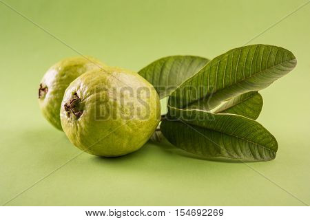 Guava fruit or Amrood or Amrud or peru isolated, selective focus