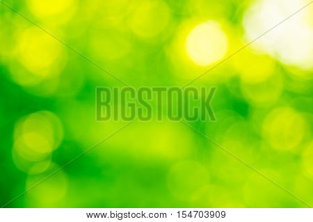 Blurred nature background.Backdrop with color and bright sun light. Summer holidays concept.bokeh background or Christmas background.Green Energy.
