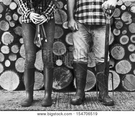 Firewood Fuelwood Lumber Timber Lumber Log Concept