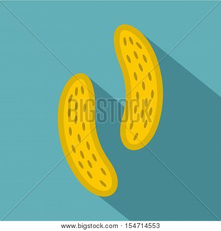 Epithelial cell icon. Flat illustration of epithelial cell vector icon for web
