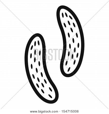 Epithelial cell icon. Simple illustration of epithelial cell vector icon for web