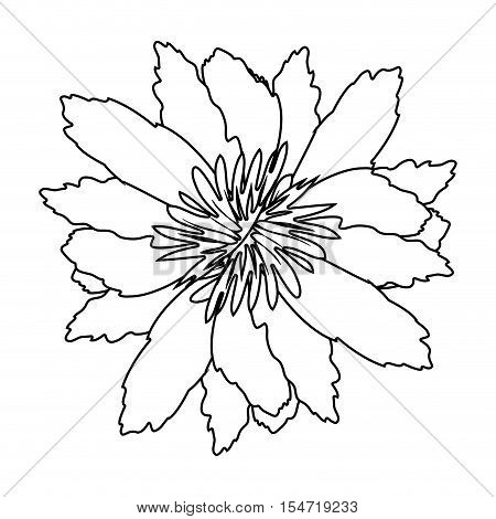 silhouette petals of flower with sepal vector illustration
