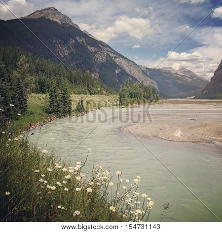 Scenic mountain landscape with river in summer.  Instagram effects.