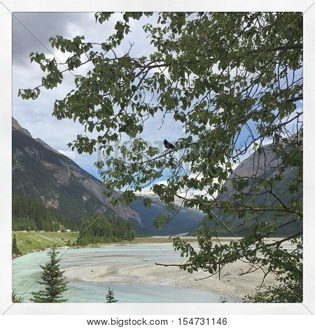 Scenic mountain landscape with river in summer.  Instagram effects.