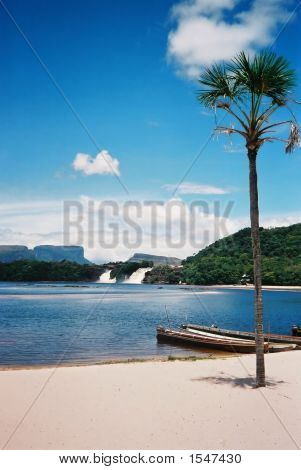 Palm und Boot