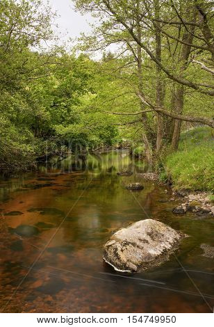 Beautiful coloration of this river flowing through green forest