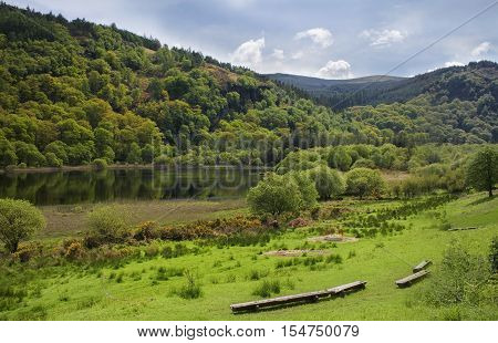 Green forest surrounding a lake, Glendalough, Ireland