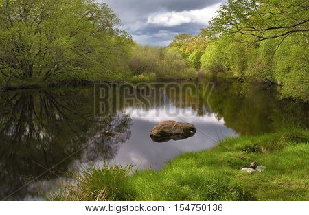 Tranquil lake scape with beautiful reflection and green forest background
