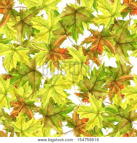 seamless patttern with realistic watercolor autumn leaves of maple tree, hand drawn nature background, floral ornament