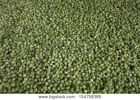 background or texture of fresh green Brussel Sprouts