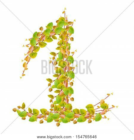 Number 1 alphabet of green leaves on white