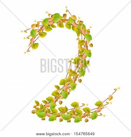 Number 2 alphabet of green leaves on white