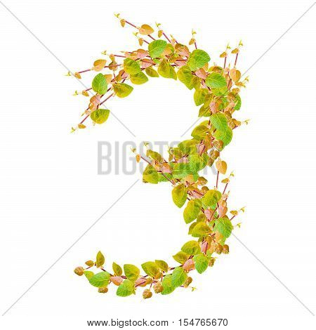 Number 3 alphabet of green leaves on white