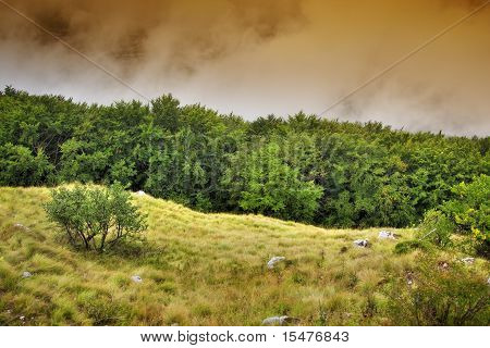 Paesaggio