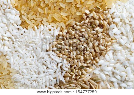 Abstract Pattern Made Of White, Brown And Parboiled Rice From Above.