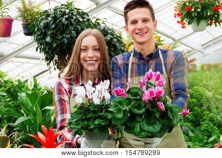 Working In The Greenhouse
