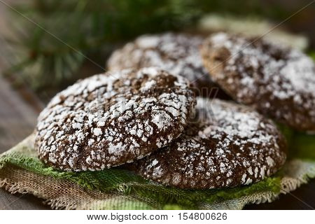 Chocolate crinkle cookies traditional American Christmas cookies photographed with natural light (Selective Focus Focus on the front of the right cookie and one fourth into the left cookie)