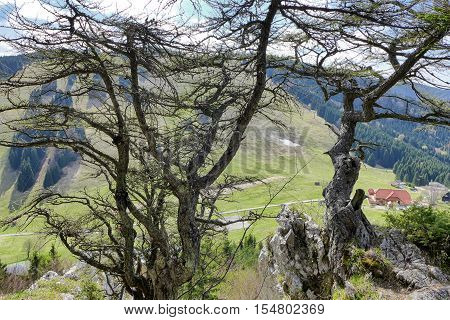 Rock formations called Haliny at Malino Brdo Slovakia