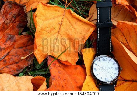 Autumn Leaves and Clock isolated on ground