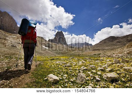 hiker standing on colorful yellow flowers and green grass with stones, and big rock on Background in Turkey mountains, Aladaglar