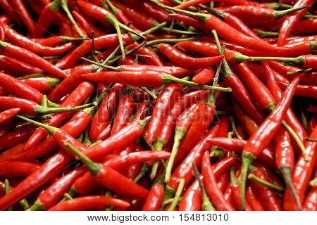 Red Chili Peppers Close-up. Background or texture