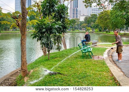 Bangkok, Thailand - December 23, 2015: Unidentified man working and watering green lawn and big lizard. Lumphini Park is one of the rare places where lizards can be seen in their natural habitat