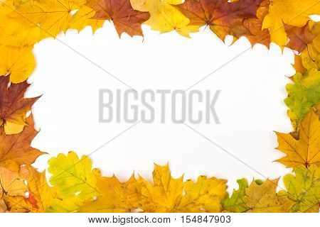 Red and yellow autumn leaves along the contour on a white background.