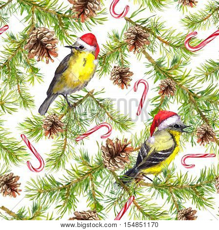 Birds in santa hats, candycane, christmas tree branches. Seamless pattern. Watercolor