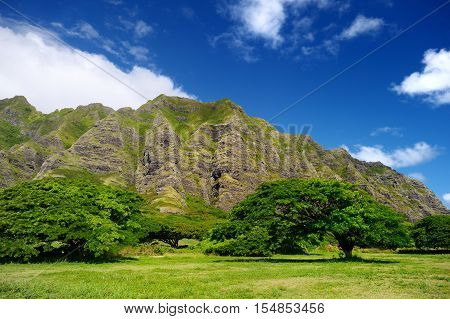 Cliffs And Trees Of Kualoa Ranch, Oahu