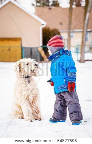 Happy toddler white Caucasian boy running and playing with snow and white large big pet dog outdoors in winter day
