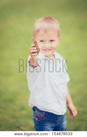 Portrait of cute adorable little boy holding a bunch of pine cones on green blurry background toned with filters retro vintage film effect selective focus shallow depth of field