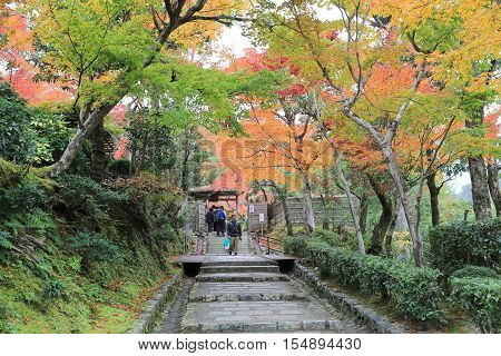an Autumn Leaves Of Adashino Nenbutsu ji