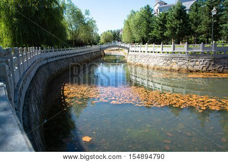 Tall embankment of city channel. Shore is decorated with a concrete banister. Channel is shallow and bottom is visible. At some distance located a bridge.