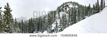 Panoramic woods on the snow covered mountain trail