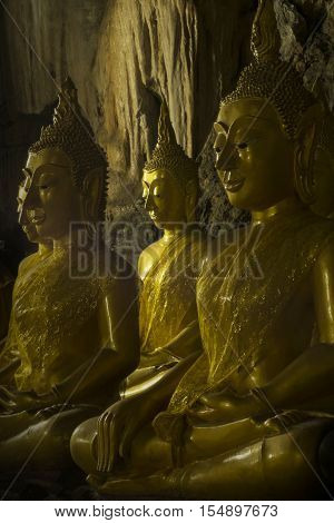 ROWS OF GOLDEN BUDDHA  IMAGES IN A DARKNESS
Golden Buddha images are placed peacefully in a dark cave with light shining to buddha images face.