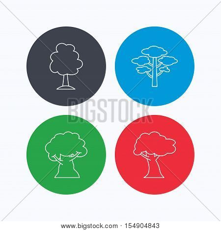 Pine tree, oak-tree icons. Forest trees linear sign. Linear icons on colored buttons. Flat web symbols. Vector
