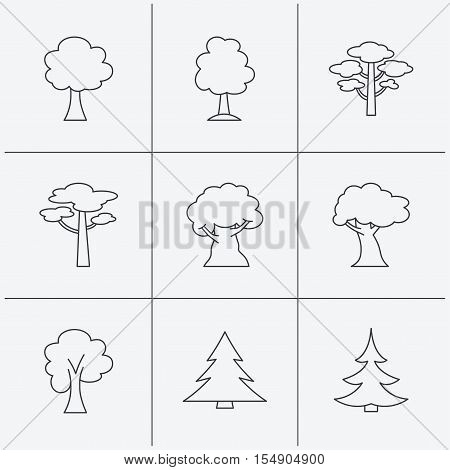 Pine tree, maple and oak icons. Christmas trees linear signs. Forest trees flat line icons. Linear icons on white background. Vector