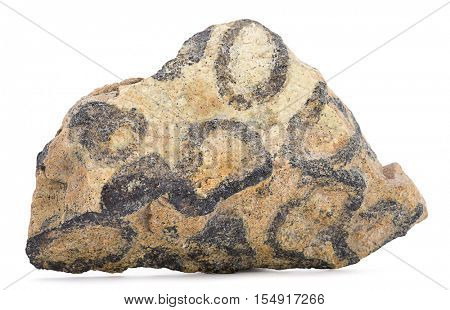 Leopard chrome ore close-up over gray background.