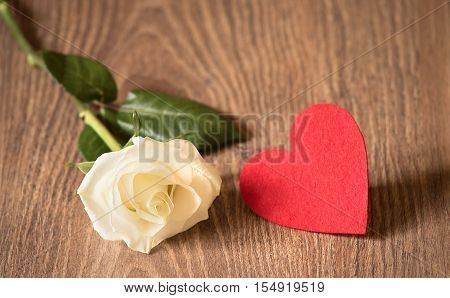 Soft Photo Of A White Rose On Wooden Background
