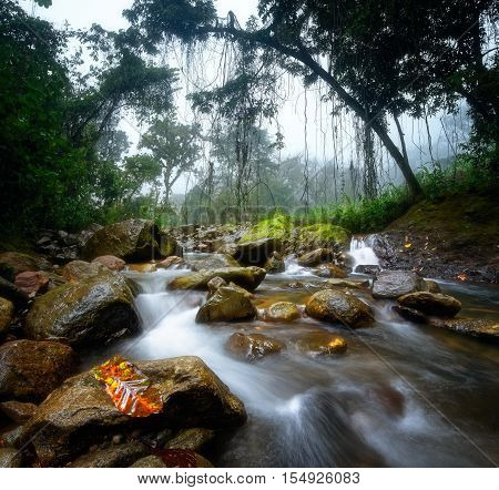 Small river in the jungle national park Semuc Champey Guatemala.
