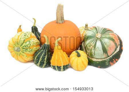 Group of cucurbits - pumpkin Festival squash Turks turban and ornamental gourds isolated on a white background