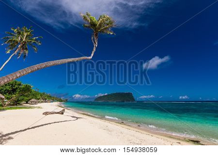 Tropical Lalomanu beach on Samoa Island with coconut palm trees