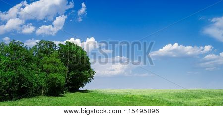 Grünen Wiese und Holz auf einem Hintergrund des blauen Himmels