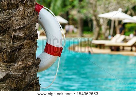 White lifebuoy hang on coconut tree at swimming pool for lifesaver