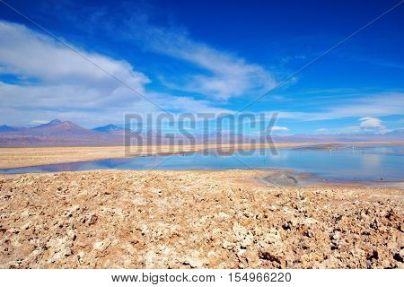 Panoramic view of the Laguna Chaxa a lagoon with flamingos in the National reserve Los Flamencos close to San Pedro de Atacama in the Atacama desert in Chile, South America