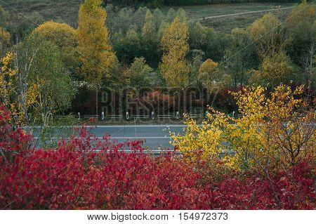 buetiful view of the road from a height. autumn