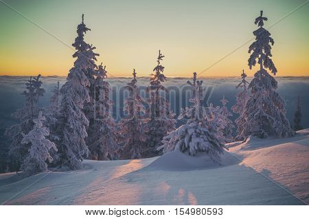 Fantastic orange evening landscape glowing by sunlight. Dramatic wintry scene with snowy trees. Kukul ridge, Carpathians, Ukraine, Europe. Toned 