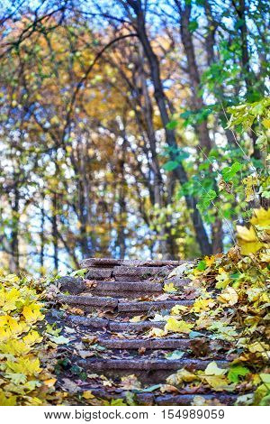 old stairs in the autumn park close up